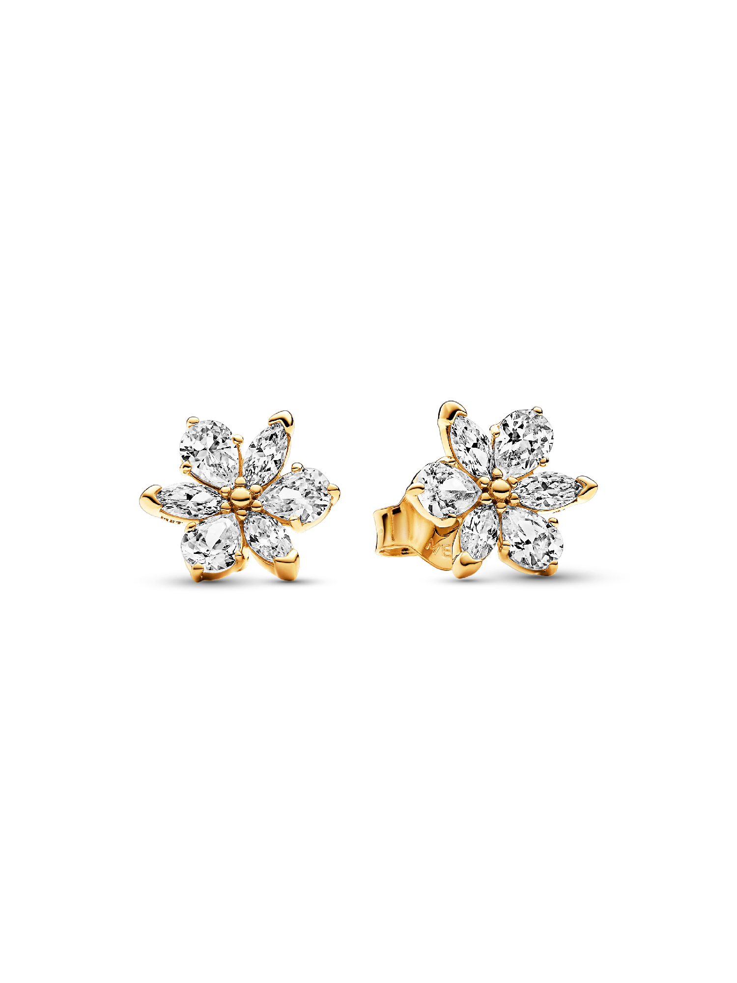 Pendientes de Botón Herbario Brillante