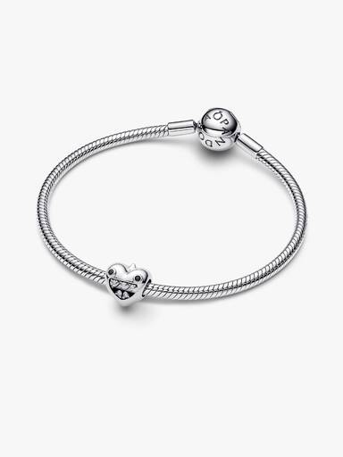 Charm Corazón y Monstruitos de Mamá