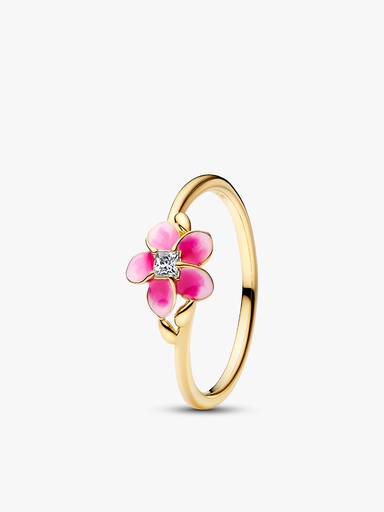 Conjunto de Regalo Disney Vaiana