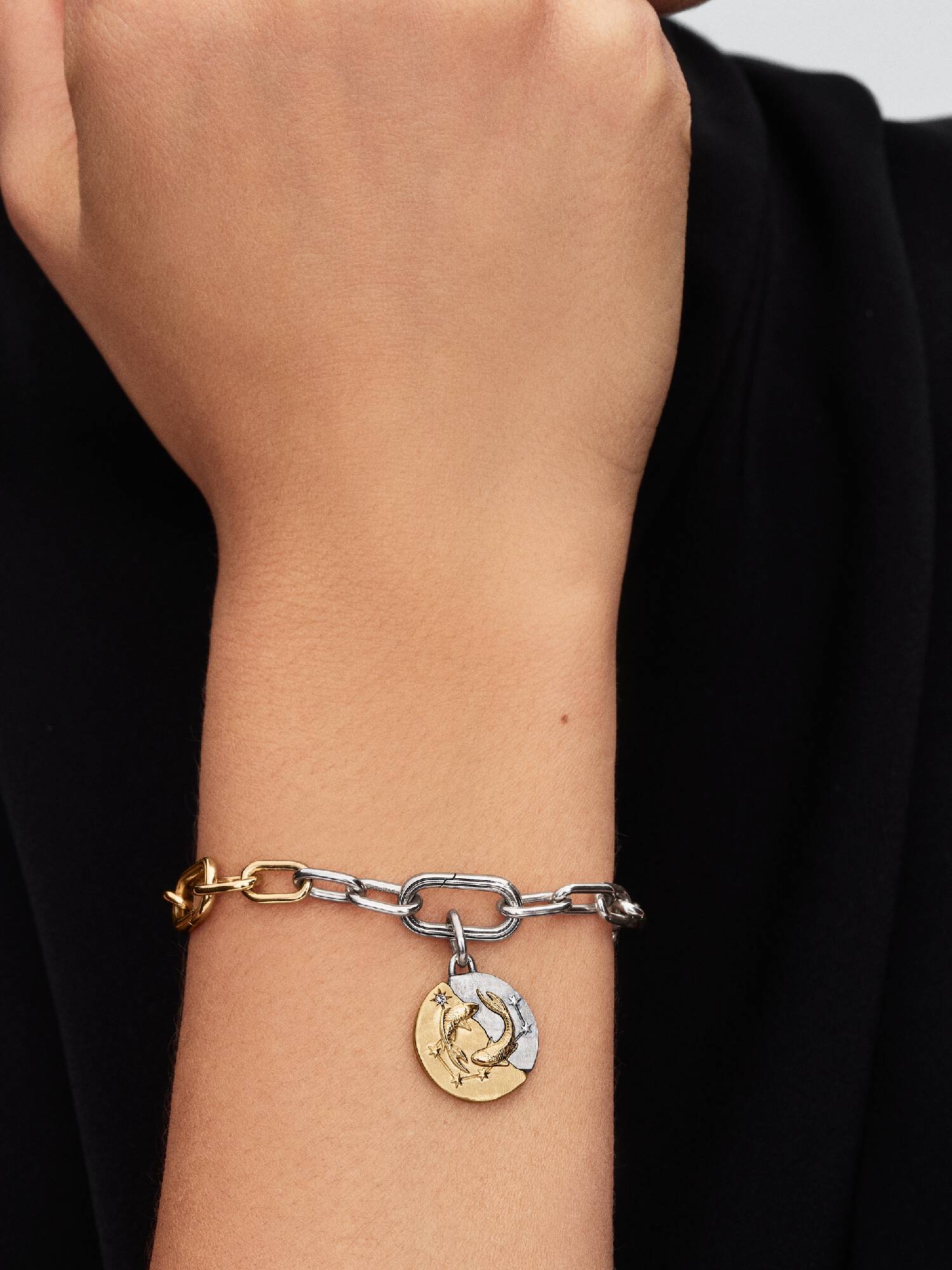 Charm Medallón Zodiaco Piscis