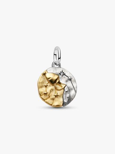 Charm Medallón Zodiaco Acuario