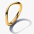 Anillo de Banda Forma Orgánica Anillo de Banda Forma Orgánica