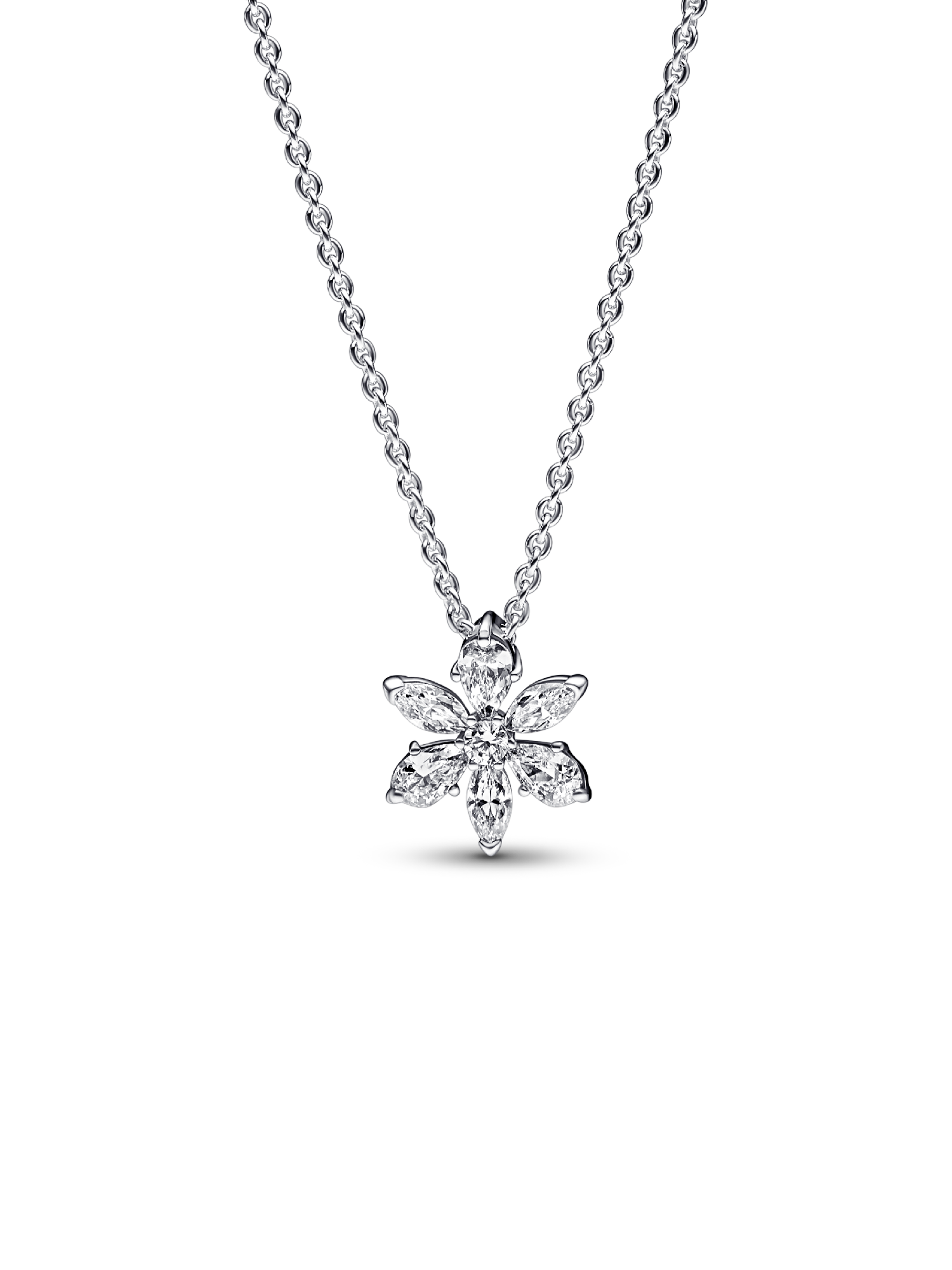 Collar con Colgante Herbario Brillante