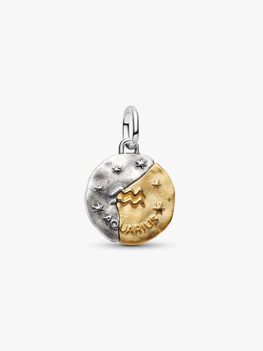 Charm Medallón Zodiaco Acuario