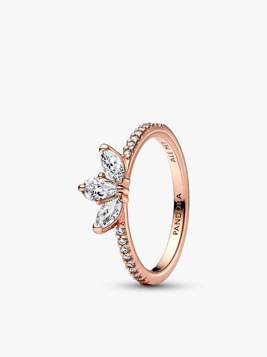 Conjunto de Anillos Herbario Brillante