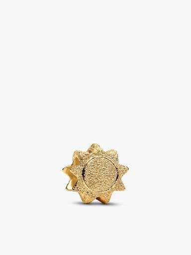 Conjunto de Charms Celestiales