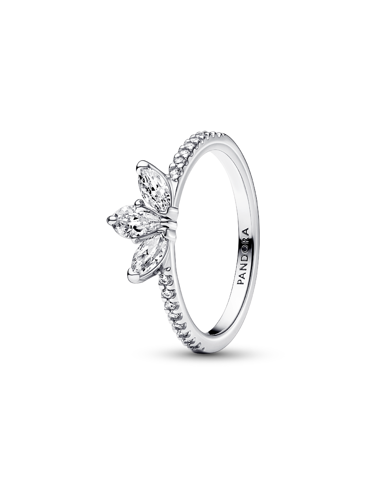 Anillo Herbario Brillante