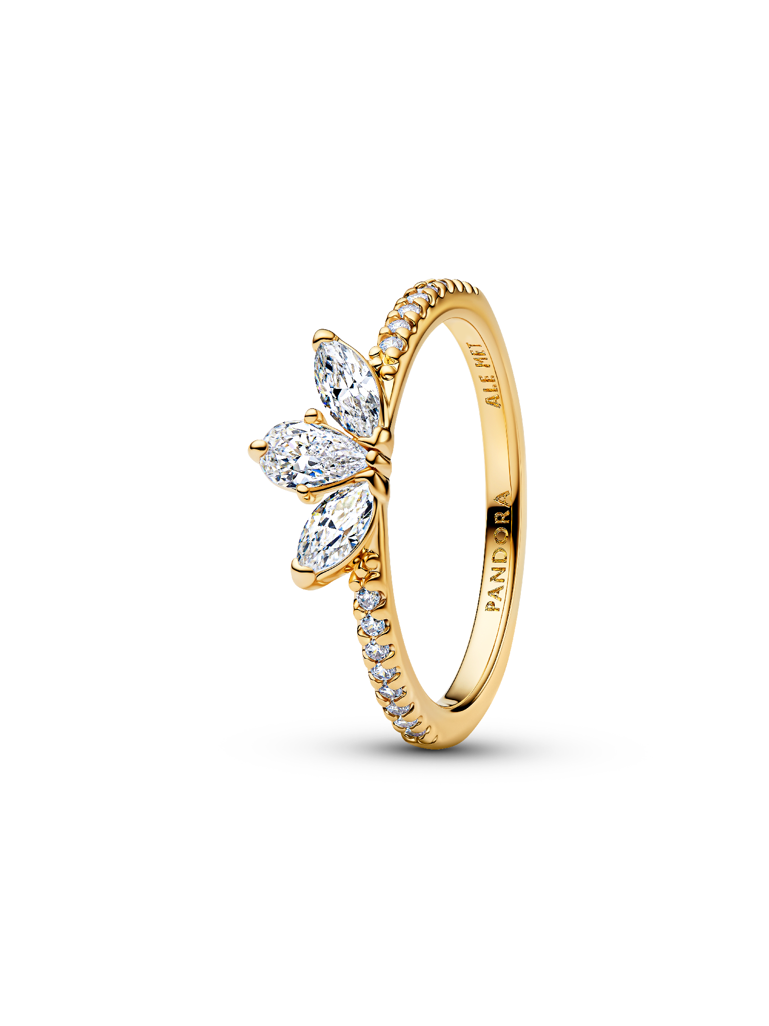 Anillo Herbario Brillante