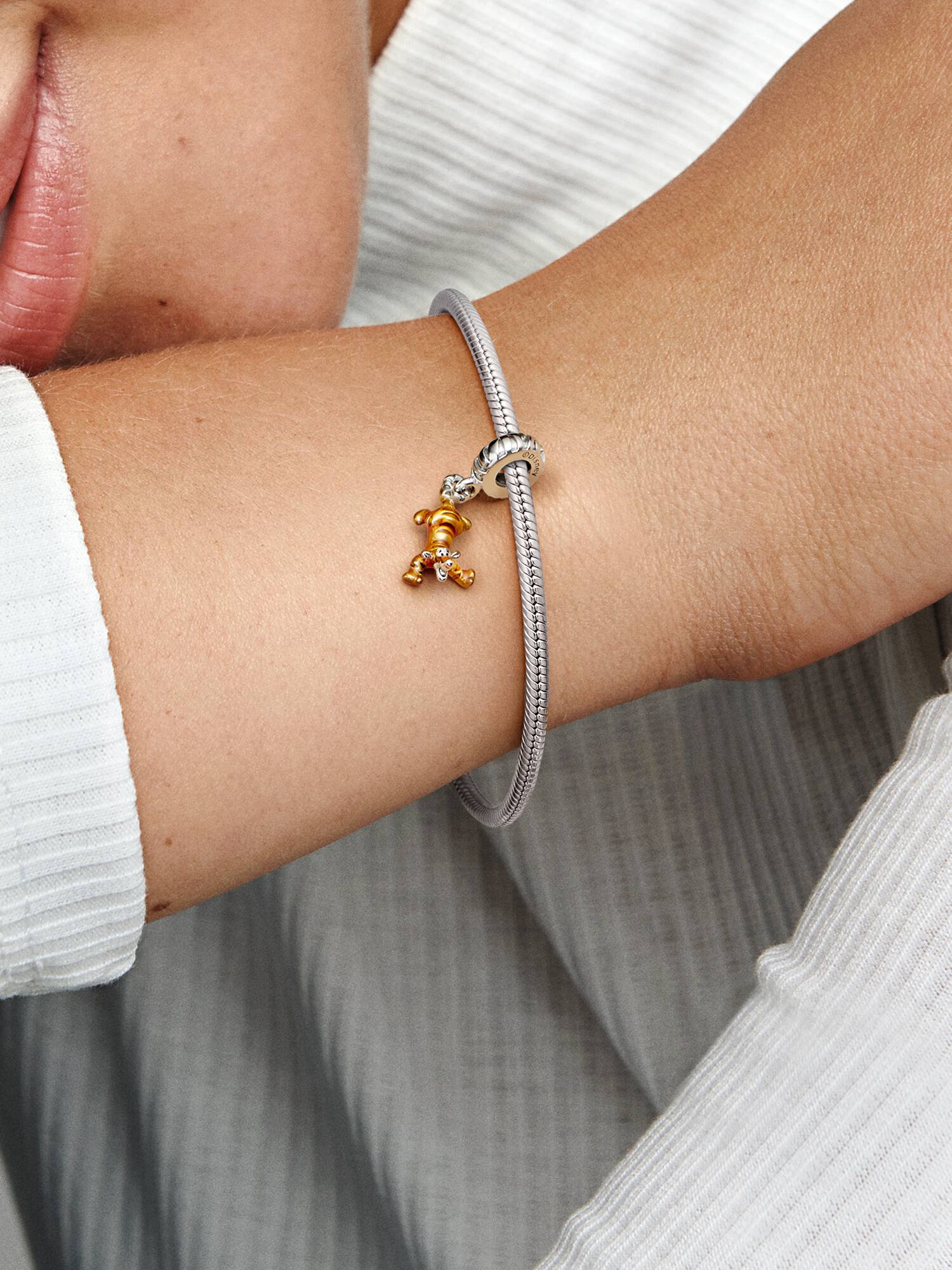 Charm Tigger de Winnie the Pooh de Disney