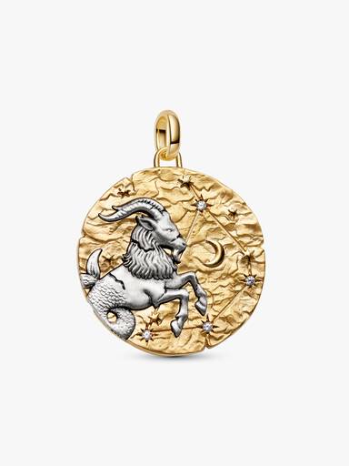Charm Medallón XL Zodiaco Capricornio
