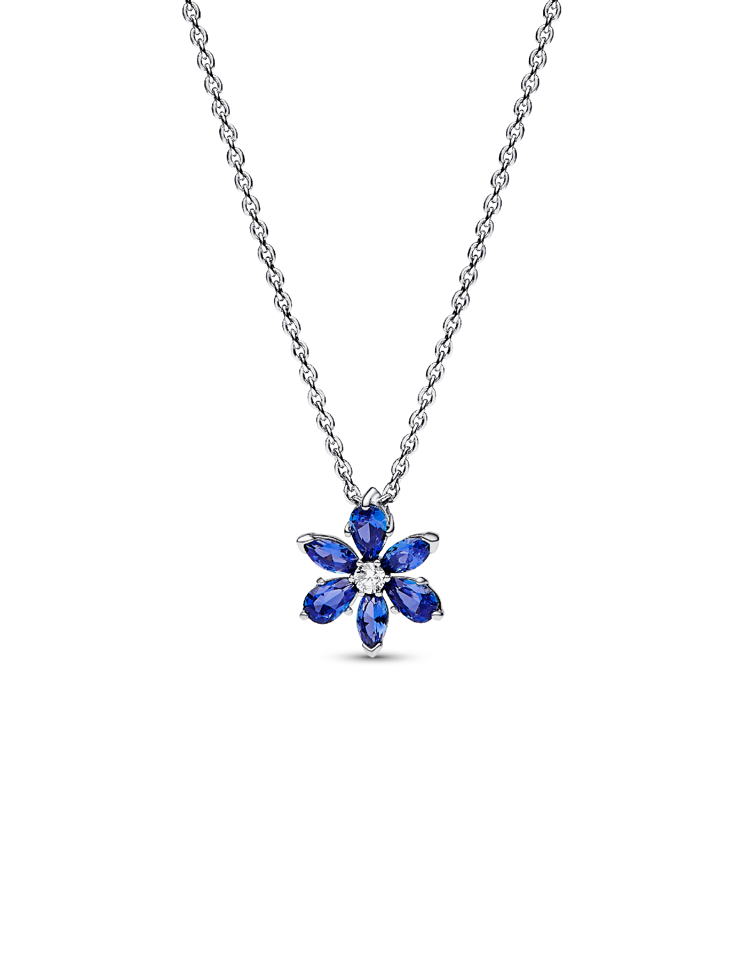 Collar con Colgante Herbario Azul Brillante