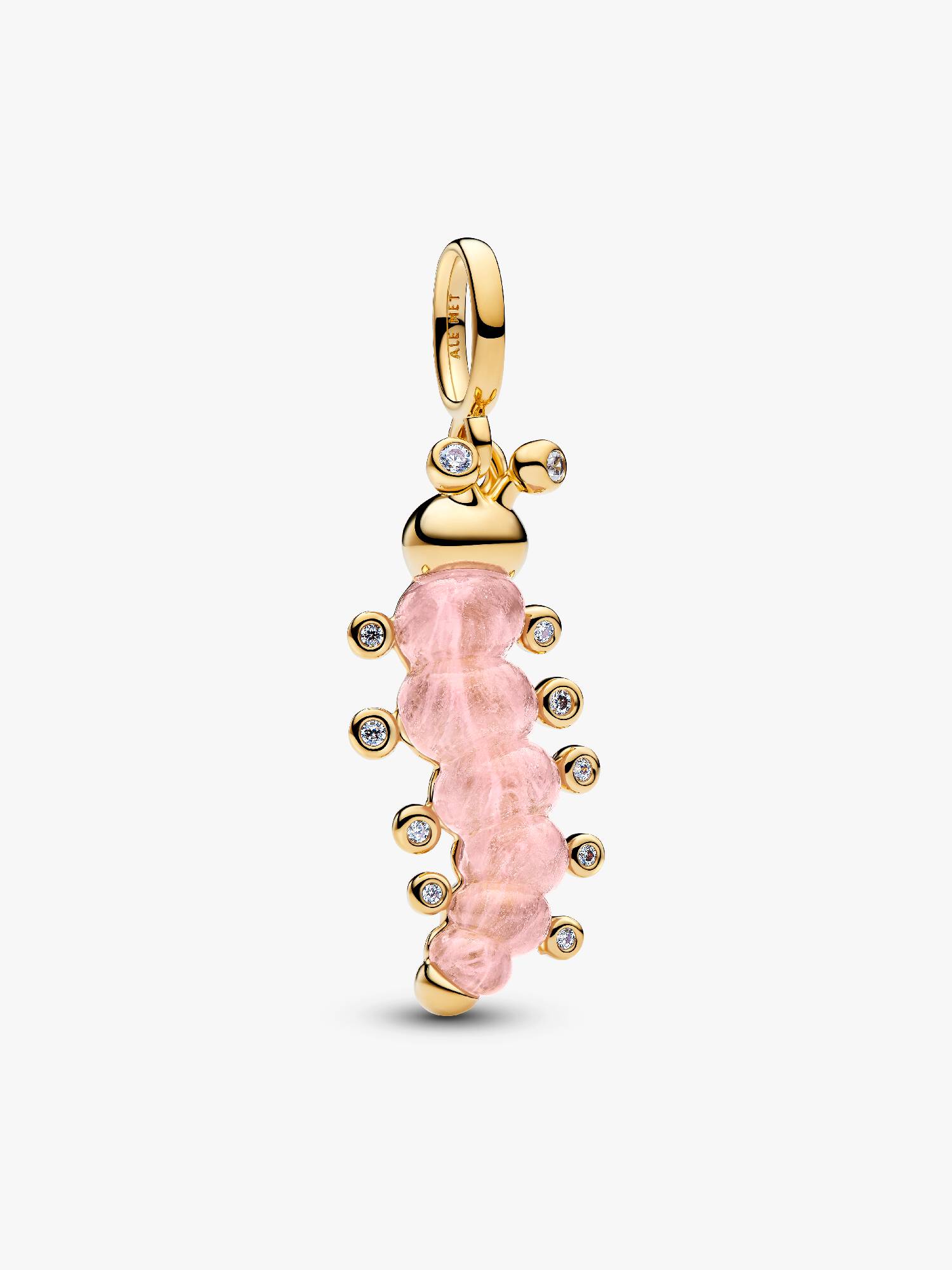 Charm Oruga Rosa 