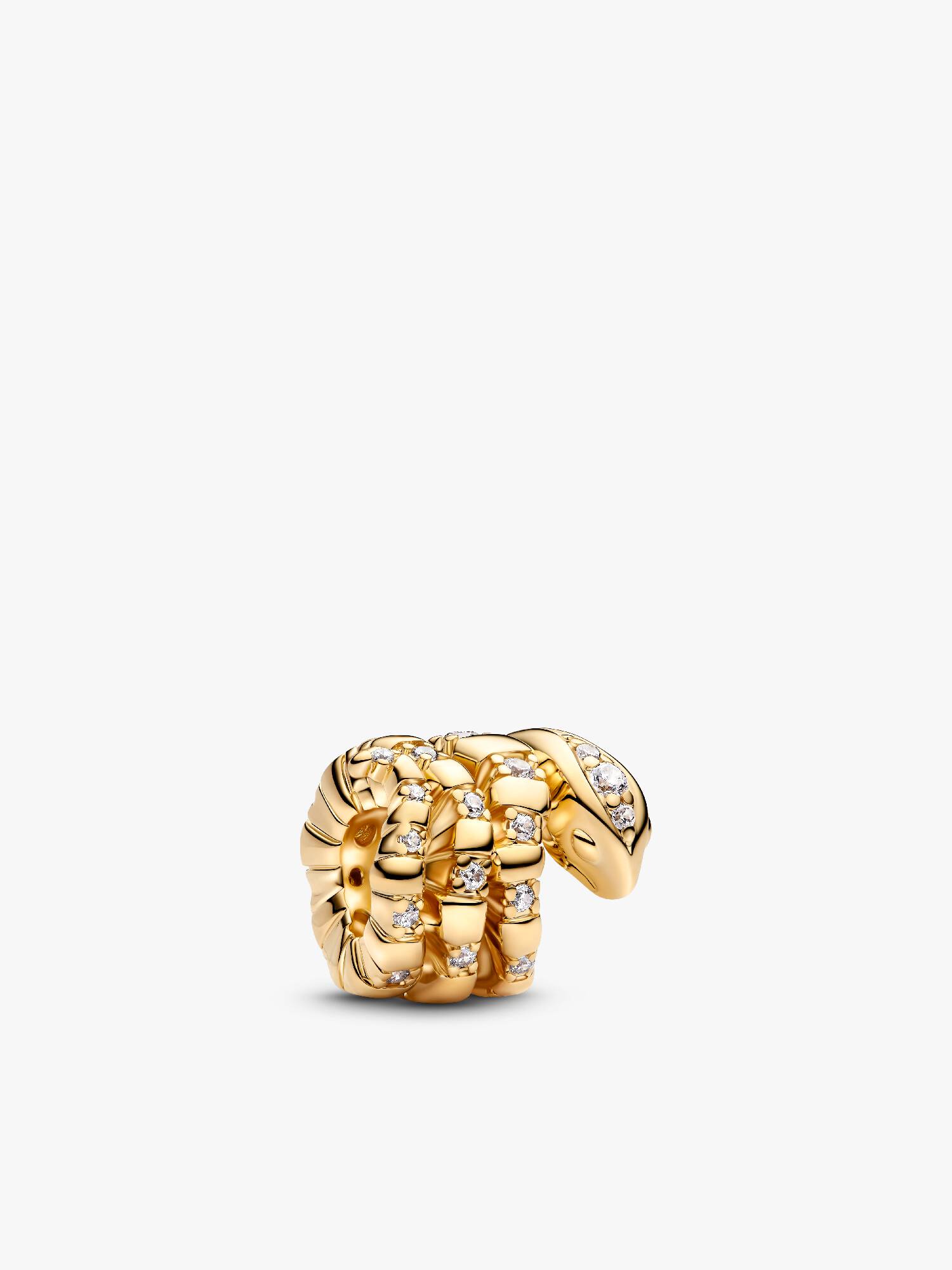 Charm Serpiente Enroscada