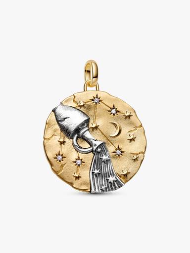 Charm Medallón XL Zodiaco Acuario