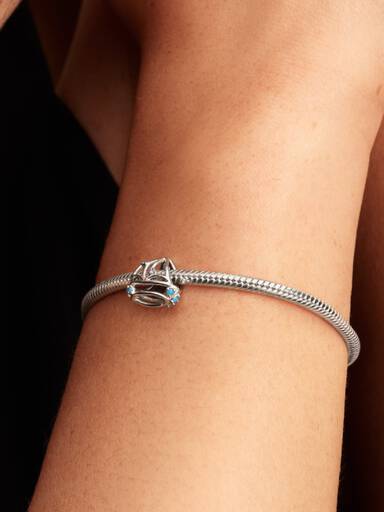 Charm Velero