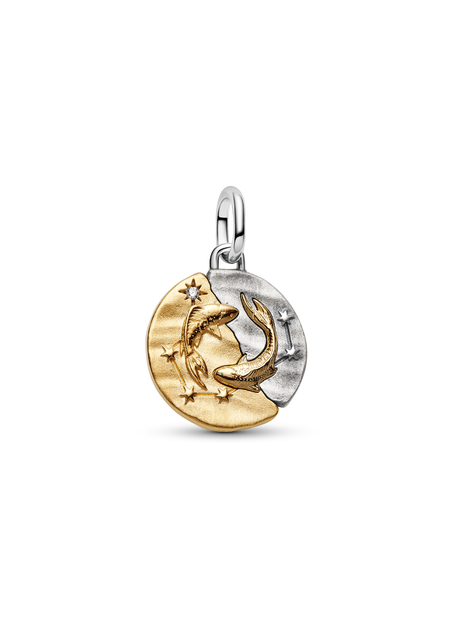 Charm Medallón Zodiaco Piscis