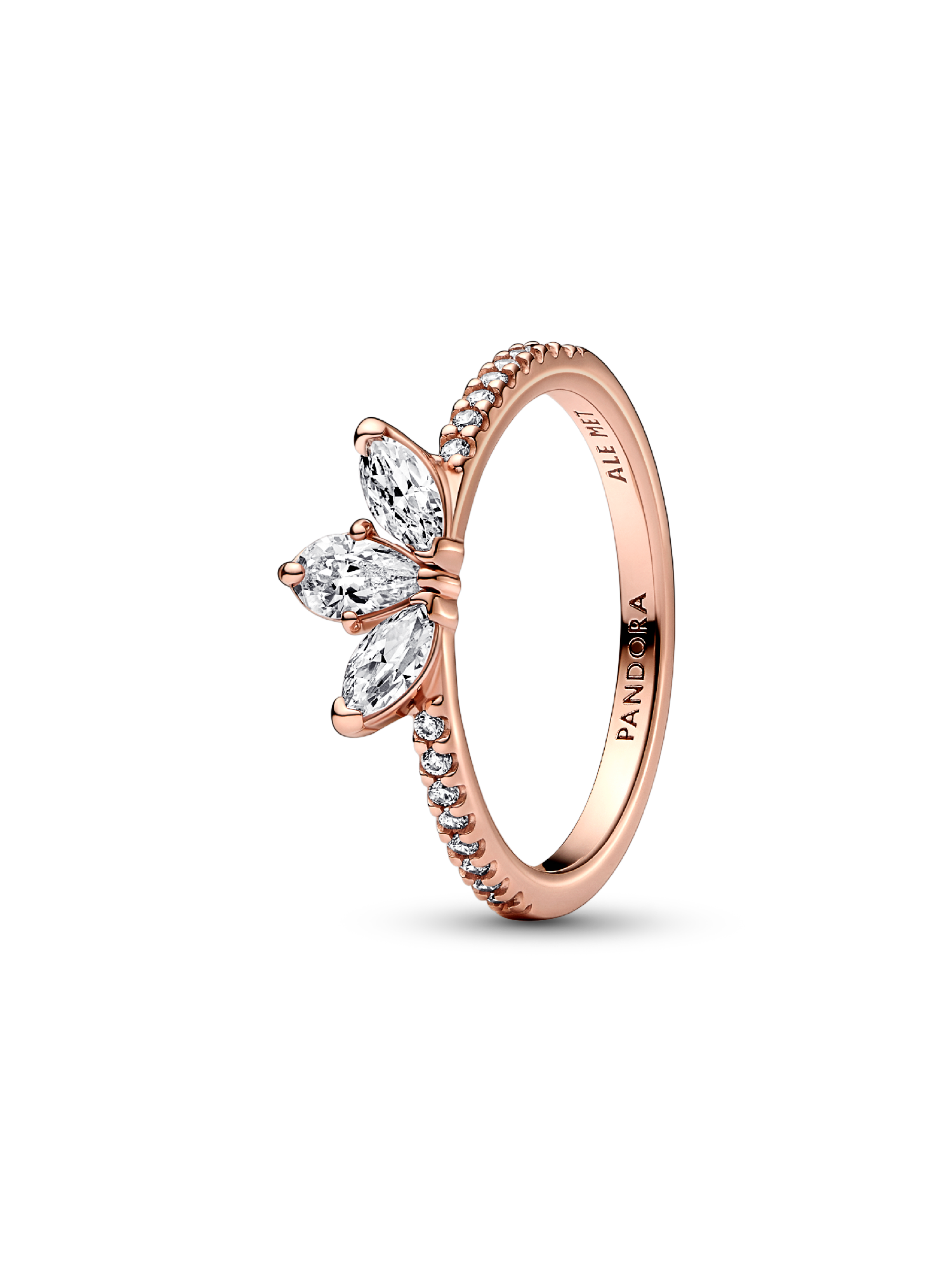 Anillo Herbario Brillante