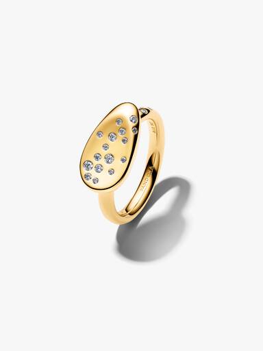 Anillo Sello Óvalo Mediano con Gemas Engastadas