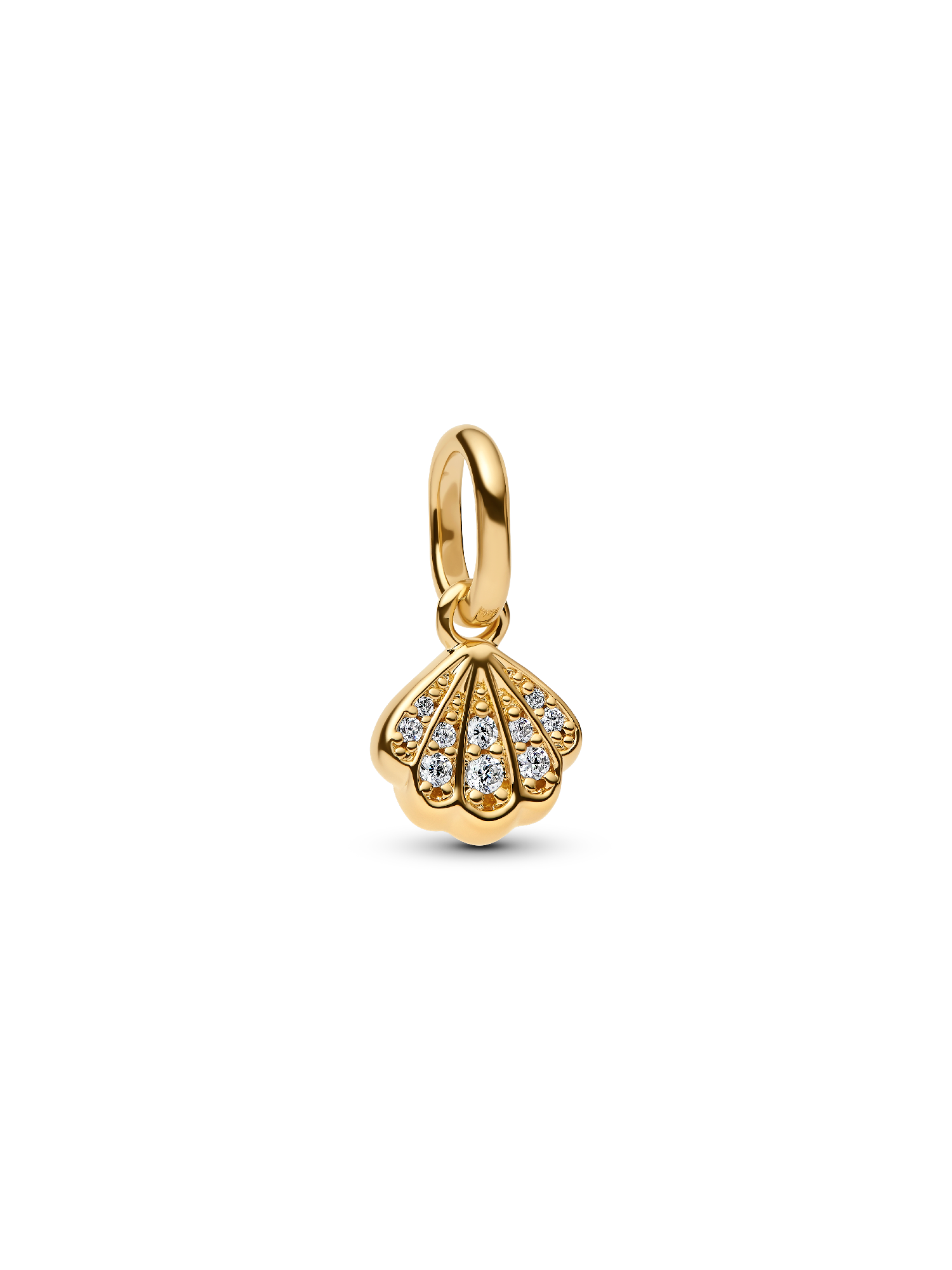 Charm Mini Colgante Concha Brillante