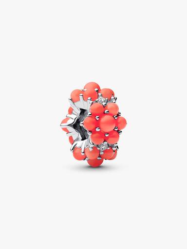 Charm Océano de Color Coral