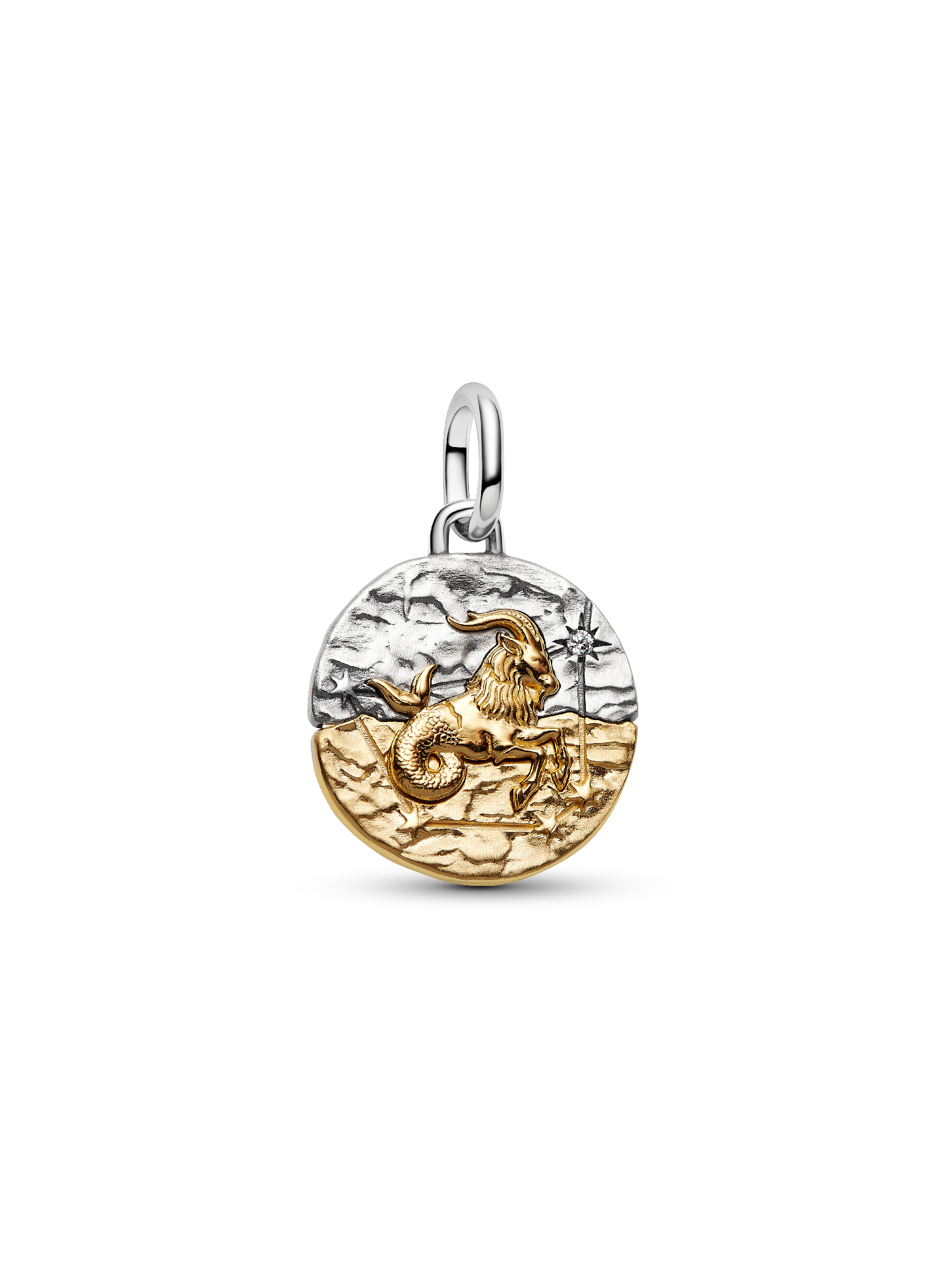 Charm Medallón Zodiaco Capricornio