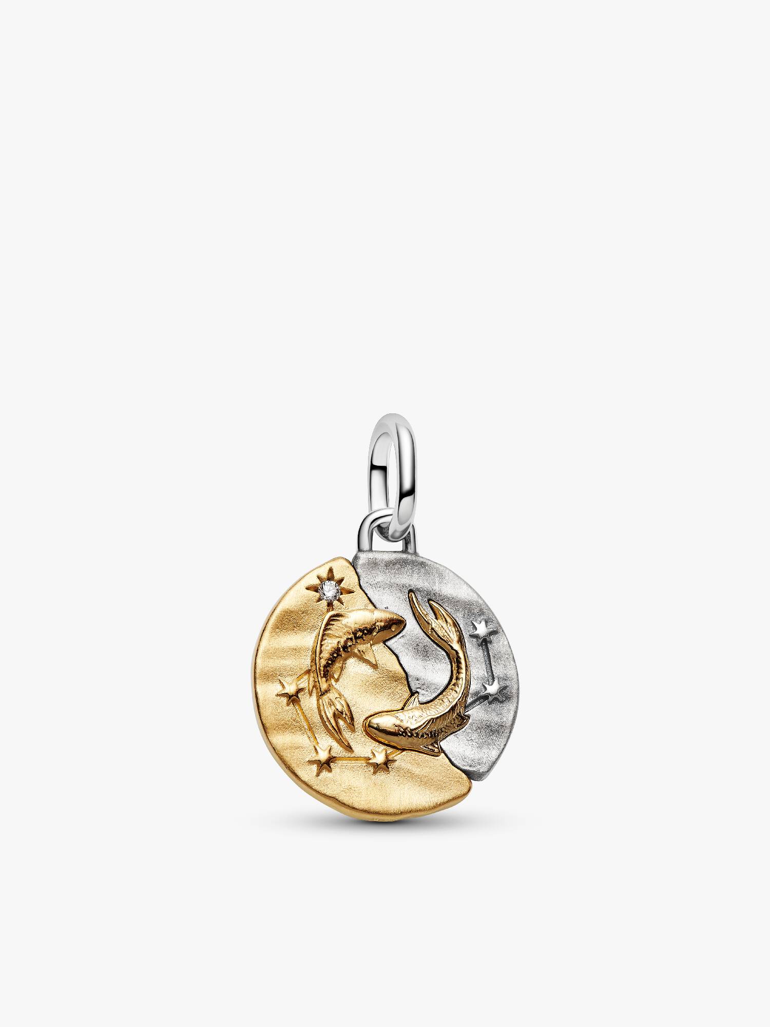 Charm Medallón Zodiaco Piscis