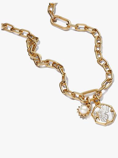 Conjunto de Regalo Mariposa Nacarada
