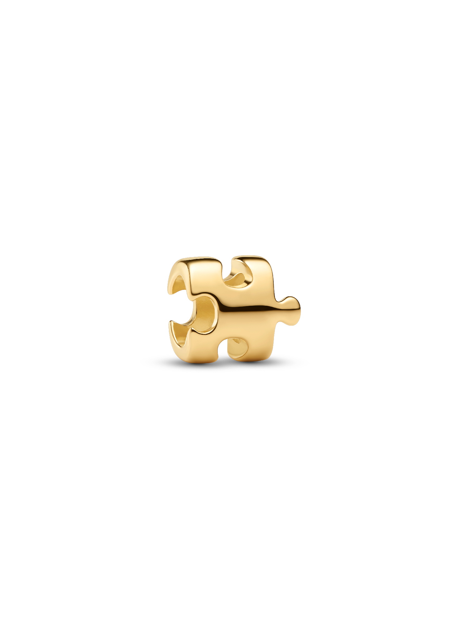 Charm Mini Pieza de Puzle