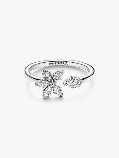Anillo Abierto Herbario Brillante