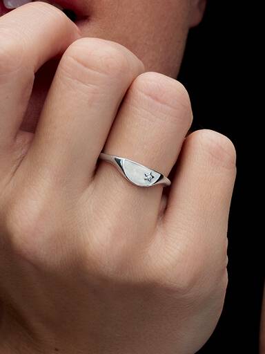 Anillo Mitad Sello Esmaltado