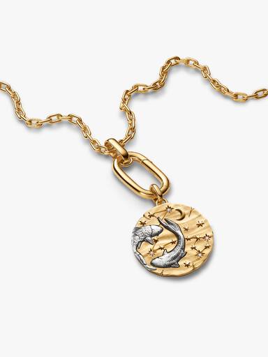 Charm Medallón XL Zodiaco Piscis