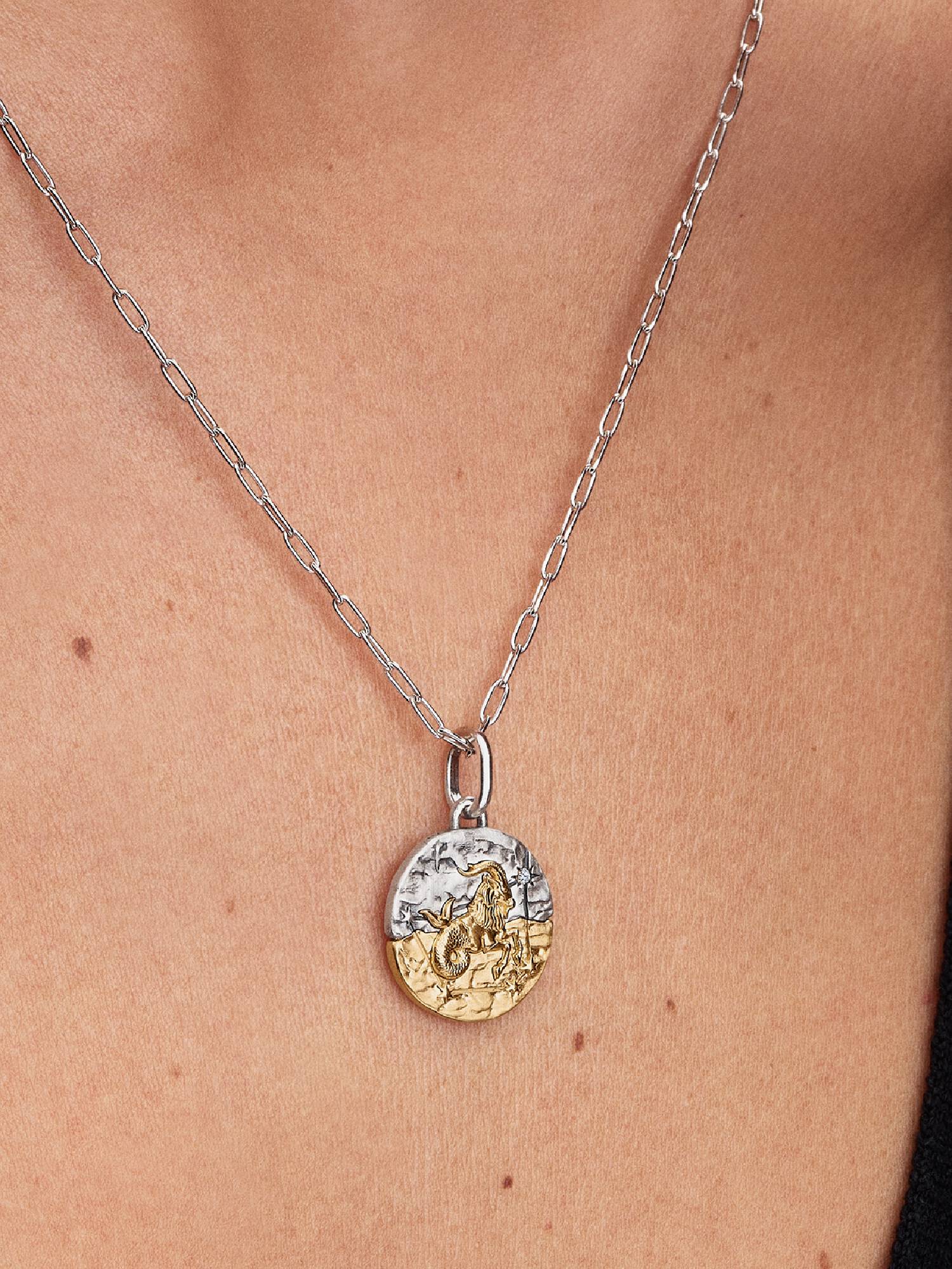 Charm Medallón Zodiaco Capricornio