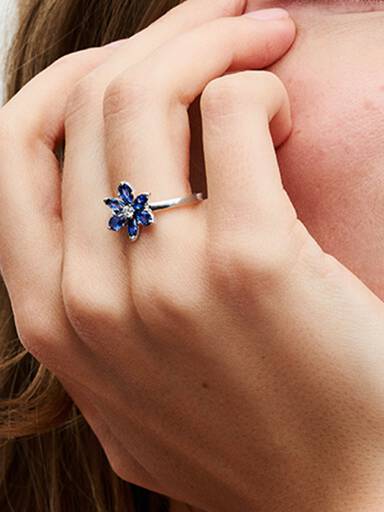 Anillo Herbario Brillante