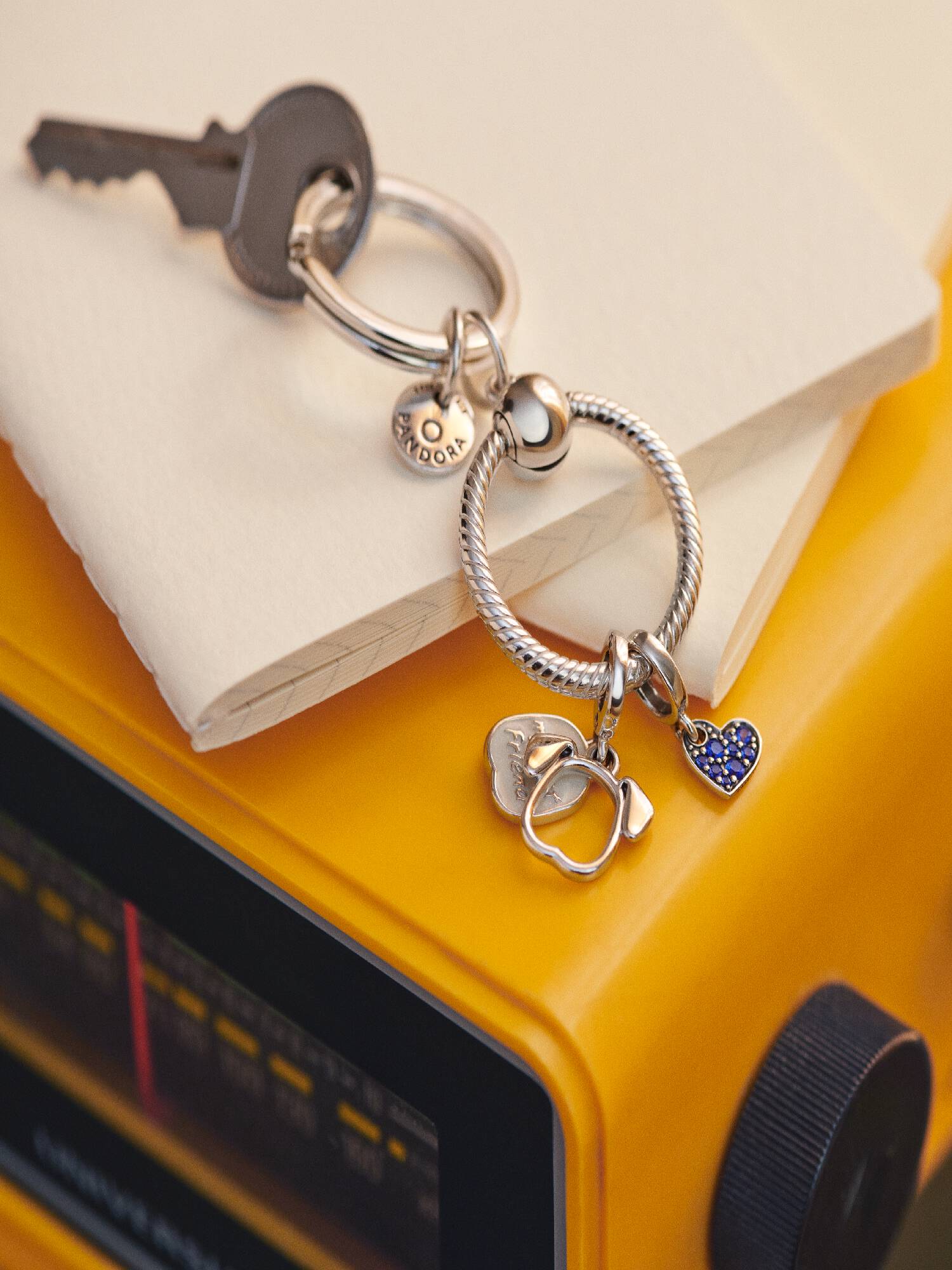 Llavero para charms Pandora Moments