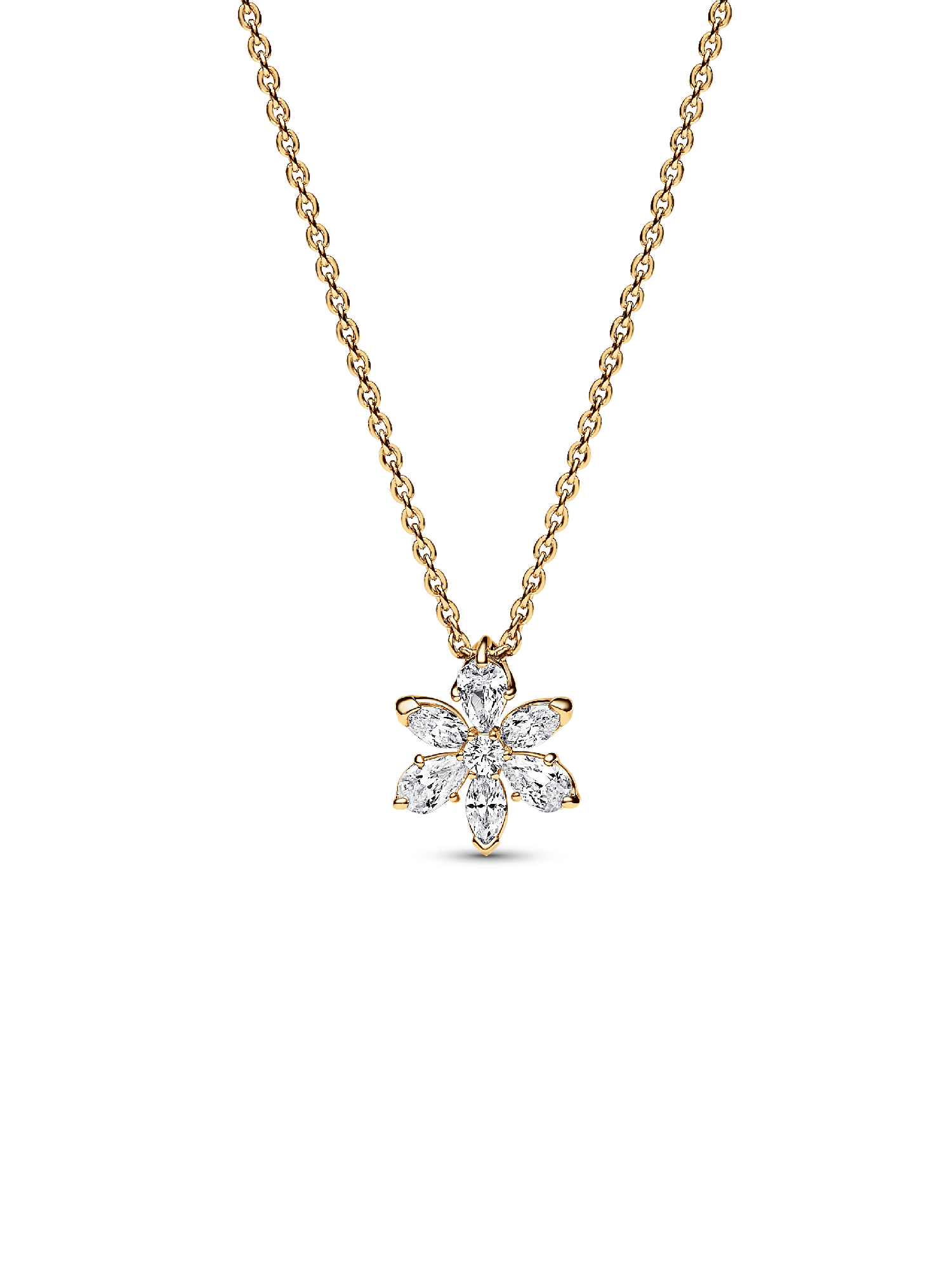 Collar con Colgante Herbario Brillante