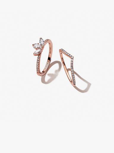Conjunto de Regalo Herbario Brillante