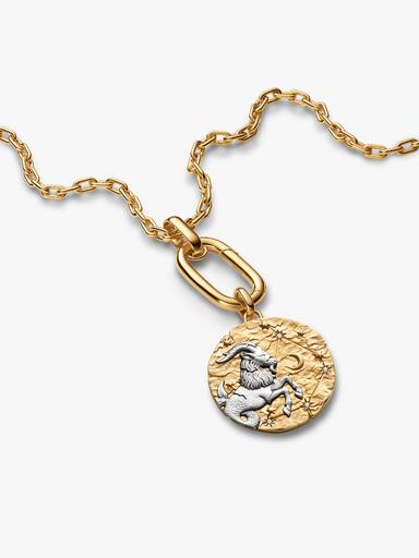 Charm Medallón XL Zodiaco Capricornio