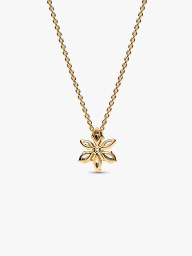 Collar con Colgante Herbario Brillante