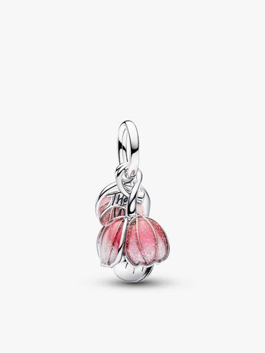 Conjunto de Regalo Campanilla