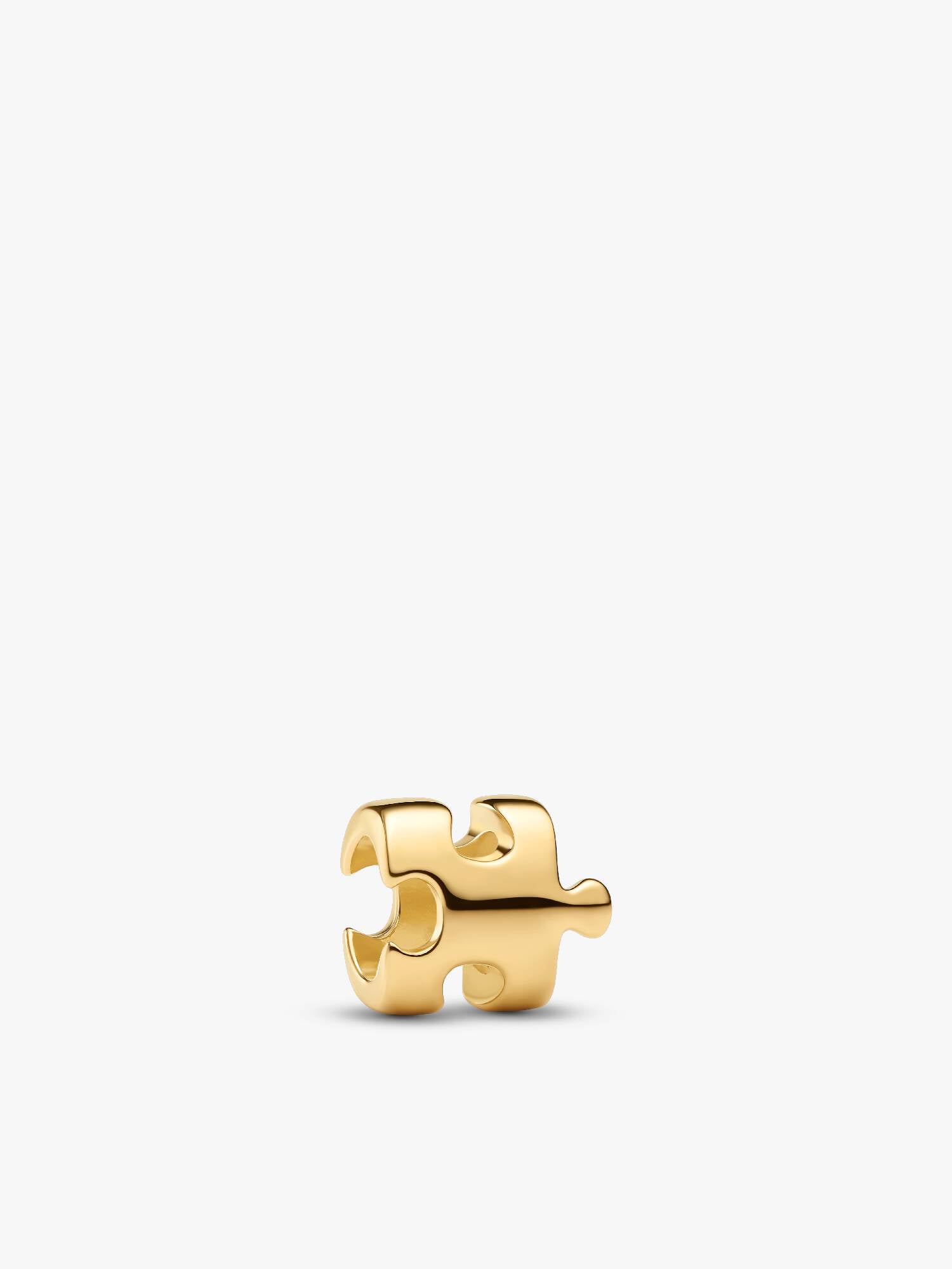 Charm Mini Pieza de Puzle