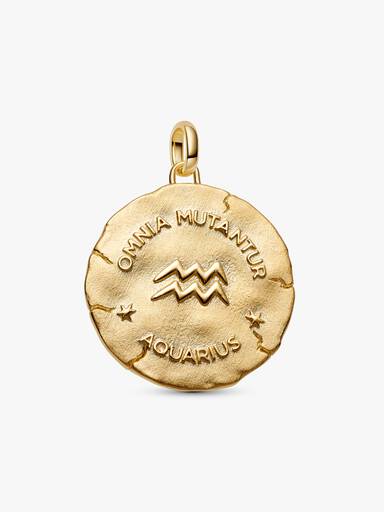 Charm Medallón XL Zodiaco Acuario