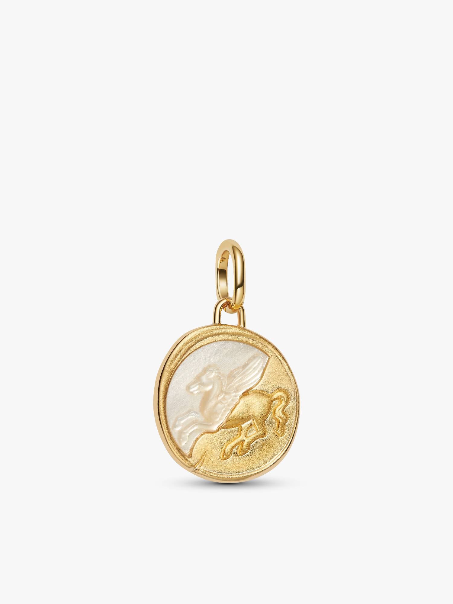 Charm Medallón Pegaso