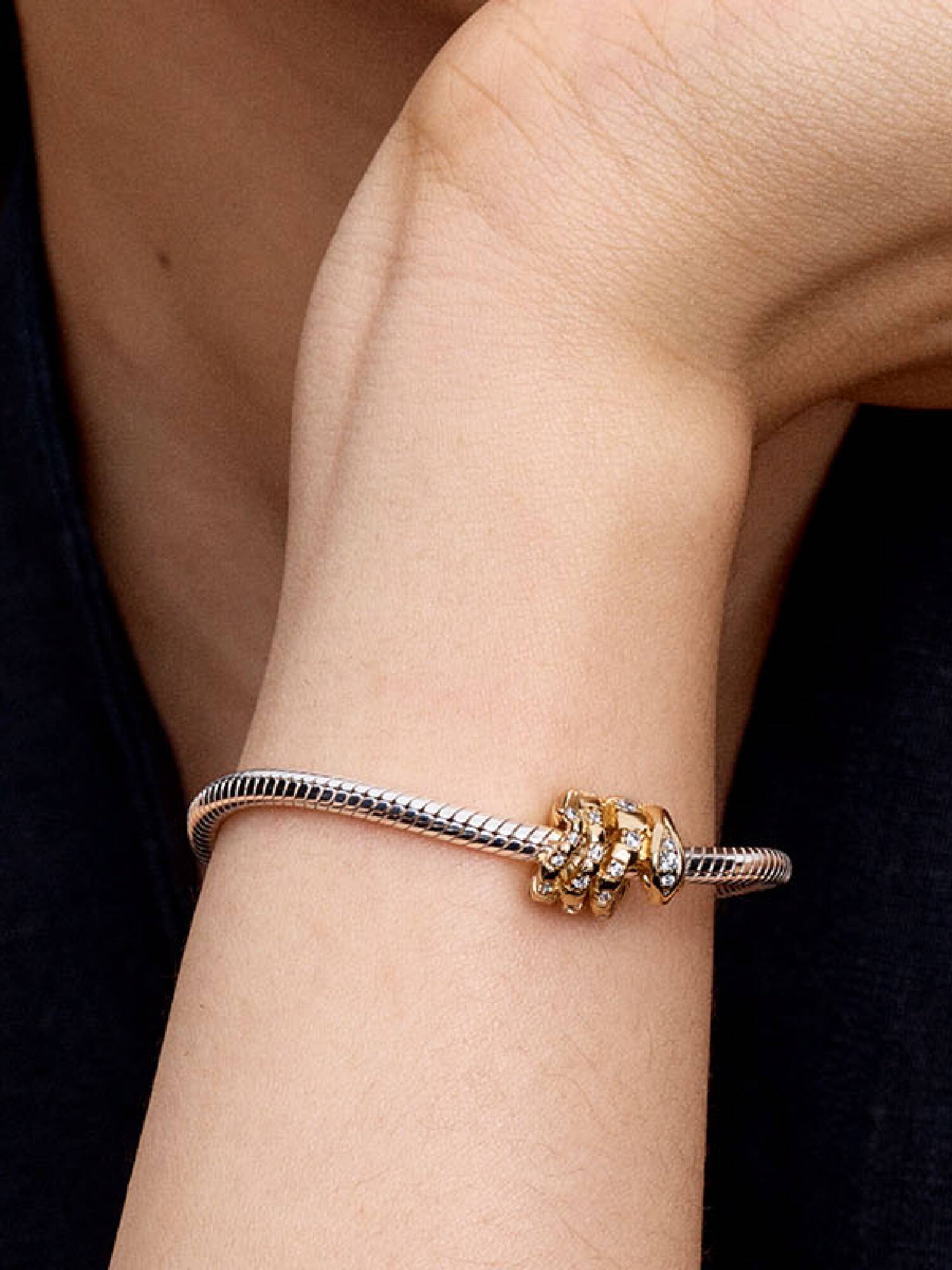 Charm Serpiente Enroscada