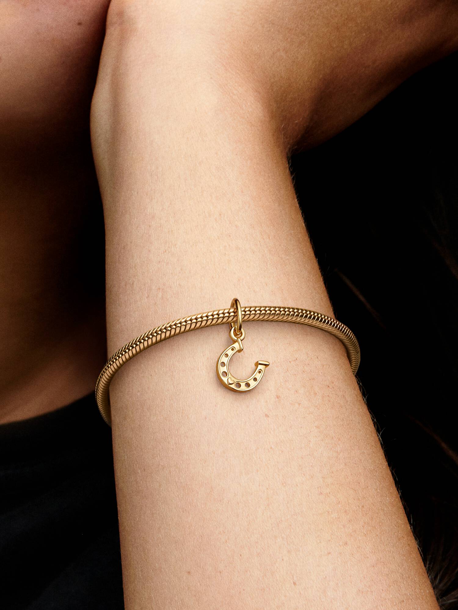 Charm colgante Herradura de la suerte
