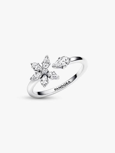 Anillo Abierto Herbario Brillante