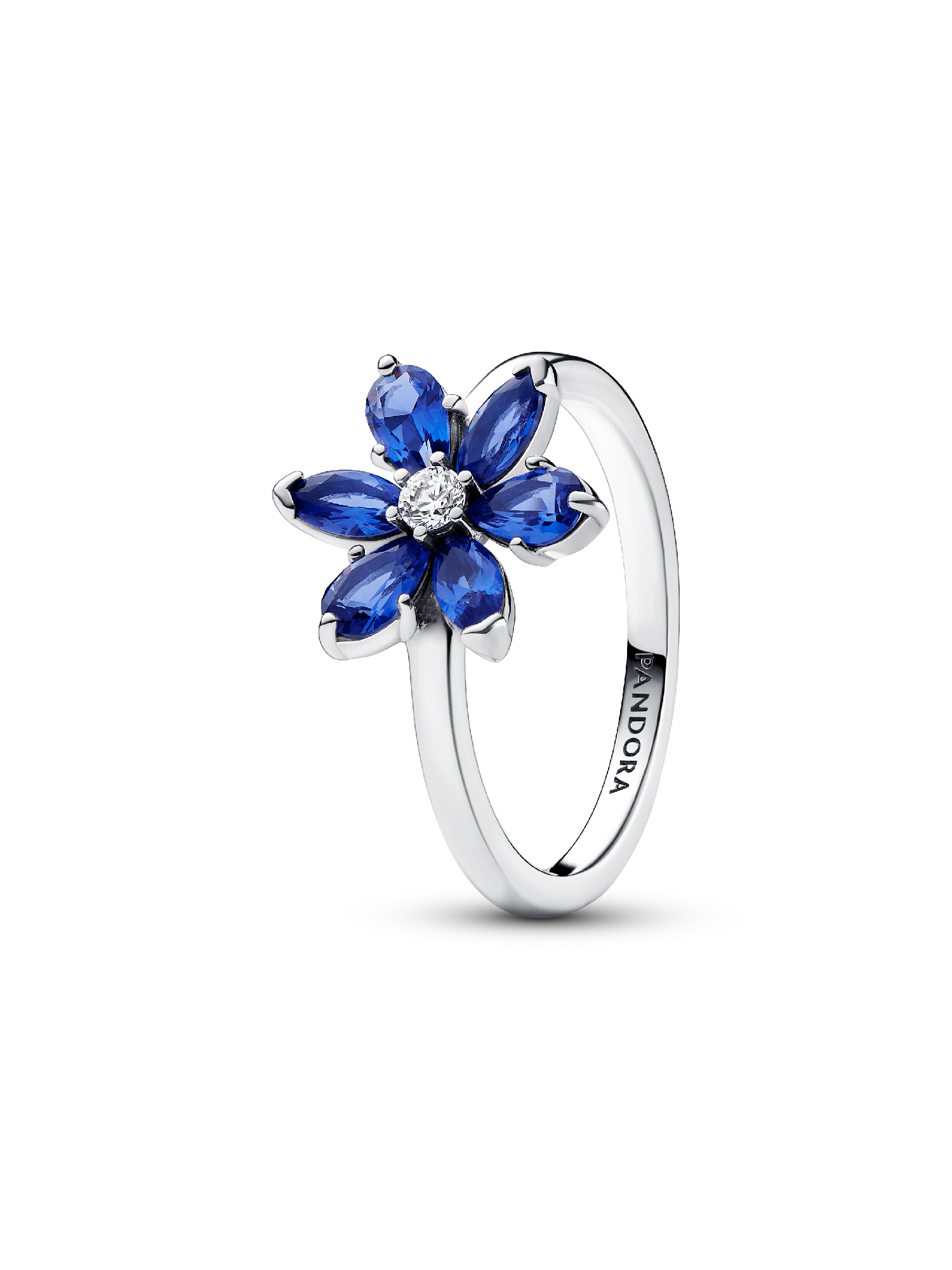 Anillo Herbario Brillante