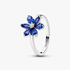 Anillo Herbario Brillante Anillo Herbario Brillante