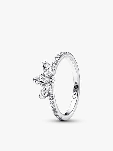 Conjunto de Anillos Herbario Brillante