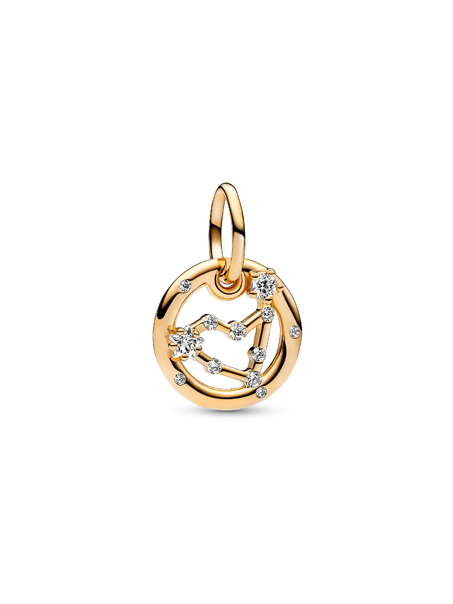 Charm Colgante Zodiaco Capricornio