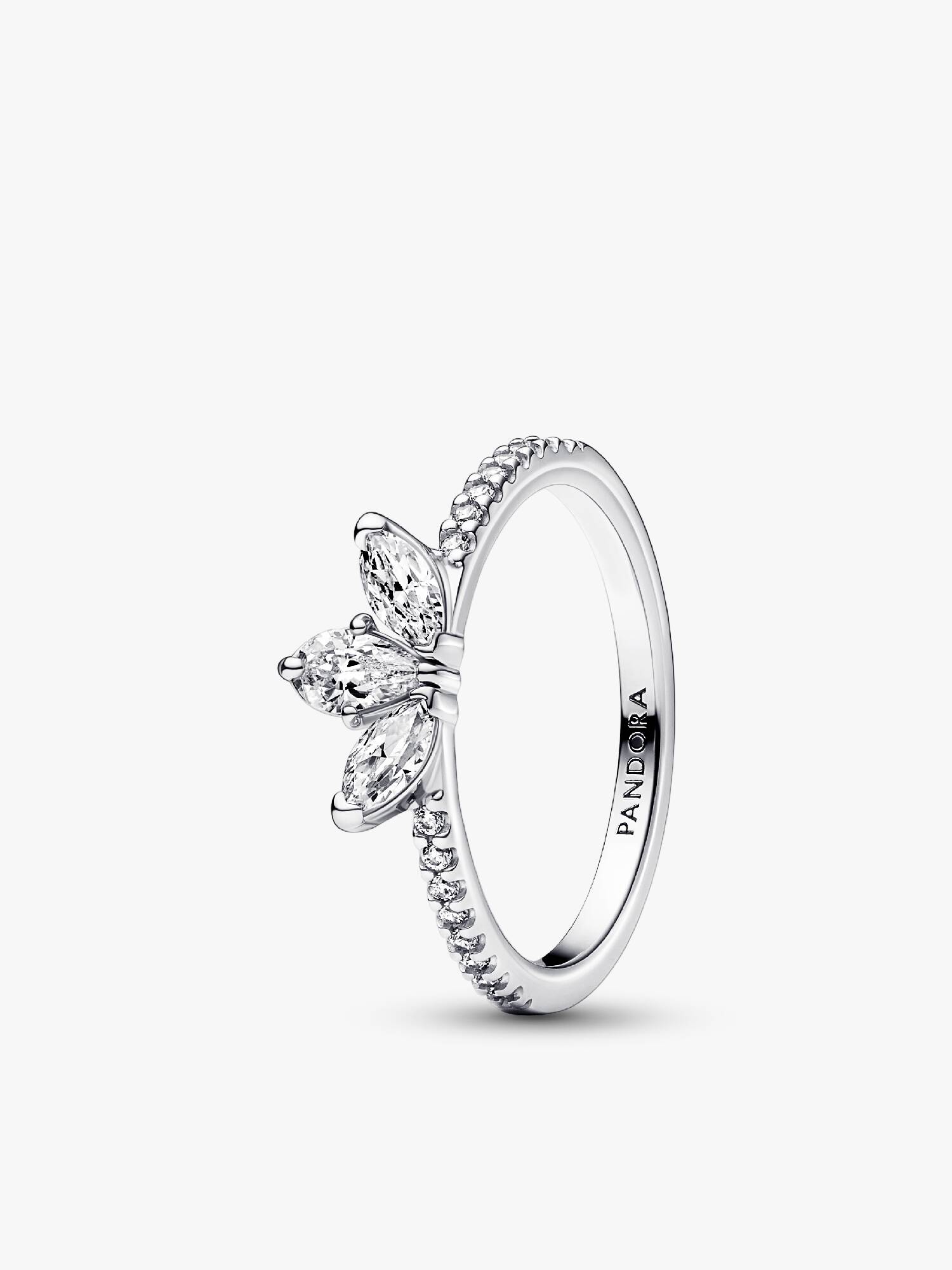 Anillo Herbario Brillante